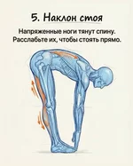 Появился топ упражнений, которые помогут увеличить рост, исправить осанку и укрепить мышцы сп...webp