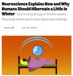 Зимой люди должны впадать в спячку.webp