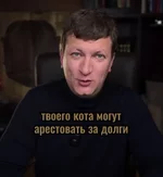 Вашего кота могут арестовать за долги и это не шутка.webp