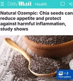 Семена чиа, назвали природным Оземпиком.webp