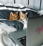 5 фильмов, которые спасут ваши отношения.webp