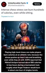 Шахматы помогают худеть.webp