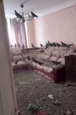 Житель Воркуты уехал на три года, забыв закрыть окно в квартире.webp