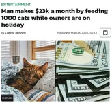 Парень получает почти 2 ляма в месяц, просто подкармливая чужих котов.webp