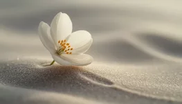 Сила деталей.webp