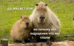 Доброе утро, друзья.webp