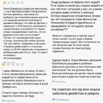 Люди по всей России жалуются на влажный корм Felix..webp