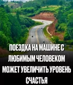 Совместные поездки - могут значительно повышать уровень счастья.webp