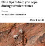 Убиваем тревожность за 9 приёмов.webp