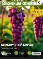 Российских бабушек массово разводят на маркетплейсах..webp