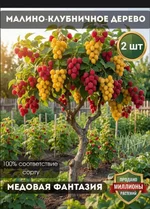 Российских бабушек массово разводят на маркетплейсах.webp