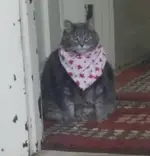 1778069262983.webp
