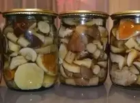 1778833193501.webp