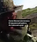 1780368078105.webp