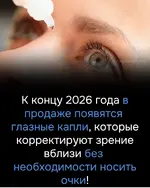 1000231313.webp