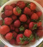 1000231336.webp
