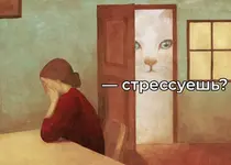 Коты не лечат стресс.webp
