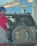 1781665840571.webp