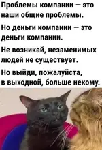 1782044145909.webp