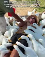 1782130657380.webp
