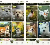 1782268065101.webp