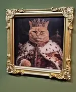 Чел сделал для своего кота королевский туалет 4.webp