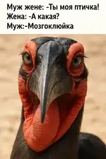 1783184102418.webp