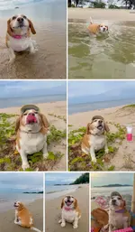 1783304672694.webp