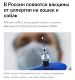 Вакцина от аллергии на кошек и собак в России уже близко.webp