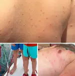 1783523182227.webp