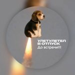 Подборка креативных отпускных аватарок 7.jpg
