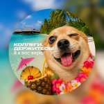 Подборка креативных отпускных аватарок 3.jpg
