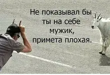 1784013440128.webp