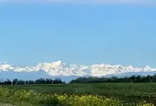 cJlg_mTpX.webp