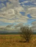TM98j6569.webp