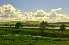 J3CM.webp