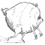 Енота-мутанта заметили в Сиэтле.webp