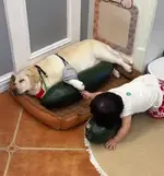 1784609647617.webp