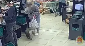1784610088999.webp