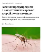Полчища комаров будут атаковать россиян.webp