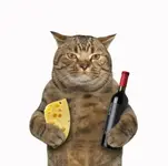 День вина и сыра отмечается сегодня.webp