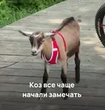 1785209887092.webp
