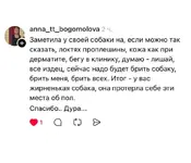 владельцы питомцев поделились историями, когда поход к ветеринару оказался бесполезным 6.webp