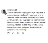 владельцы питомцев поделились историями, когда поход к ветеринару оказался бесполезным 5.webp