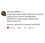 владельцы питомцев поделились историями, когда поход к ветеринару оказался бесполезным.webp