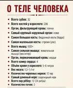 1785672301144.webp