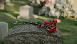 1785831242786.webp