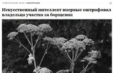 ИИ впервые выписал россиянину штраф.webp