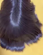 1786196252018.webp