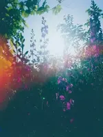 _LlzjbZS.webp